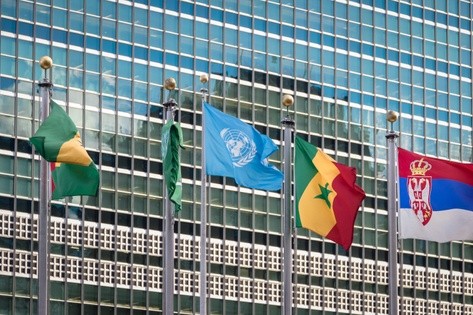 7 Tips for Pursuing A Career In Human Rights